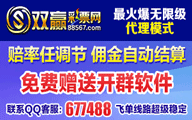 商品内容页卖家信息下方广告qq201008234到12.18日到期